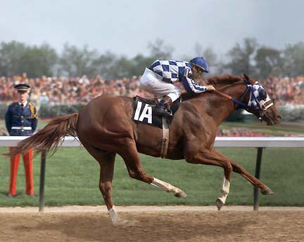 This photo shows his amazing stride length...this horse dominated the track
